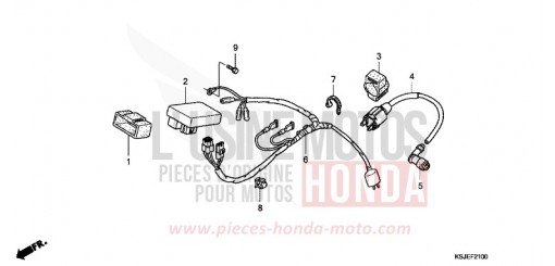 WIRE HARNESS CRF100FB de 2011
